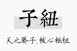 子纽名字的寓意及含义