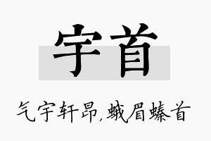 宇首名字的寓意及含义