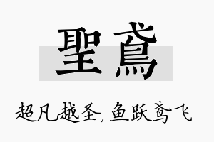 圣鸢名字的寓意及含义