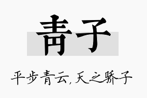 青子名字的寓意及含义