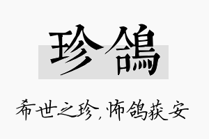 珍鸽名字的寓意及含义