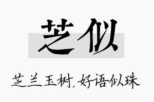 芝似名字的寓意及含义