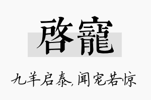 启宠名字的寓意及含义