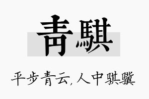 青骐名字的寓意及含义