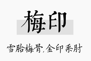 梅印名字的寓意及含义