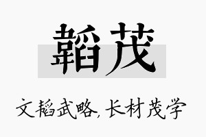 韬茂名字的寓意及含义