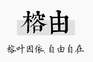 榕由名字的寓意及含义