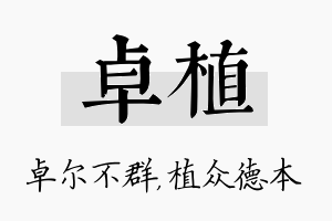 卓植名字的寓意及含义