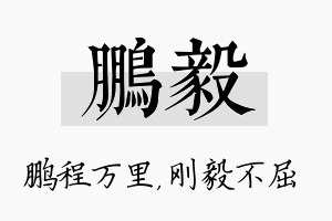 鹏毅名字的寓意及含义