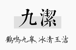 九洁名字的寓意及含义