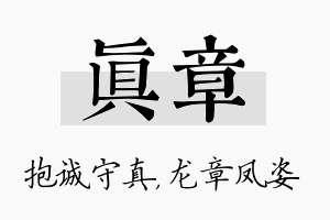 真章名字的寓意及含义