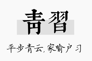 青习名字的寓意及含义