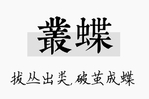 丛蝶名字的寓意及含义