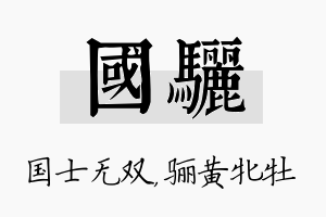 国骊名字的寓意及含义