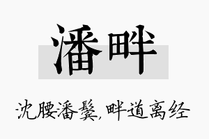 潘畔名字的寓意及含义