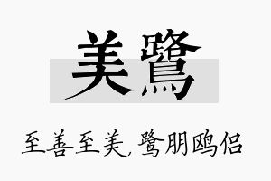 美鹭名字的寓意及含义