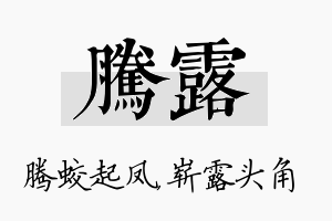 腾露名字的寓意及含义