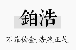 铂浩名字的寓意及含义