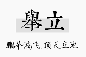 举立名字的寓意及含义