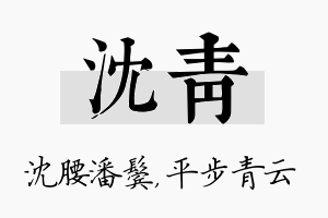 沈青名字的寓意及含义