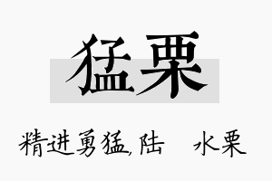 猛栗名字的寓意及含义