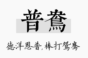 普鸯名字的寓意及含义