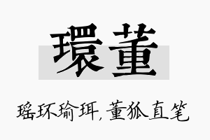 环董名字的寓意及含义