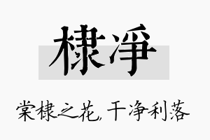 棣净名字的寓意及含义