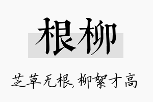 根柳名字的寓意及含义