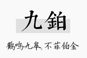 九铂名字的寓意及含义