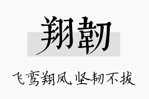 翔韧名字的寓意及含义