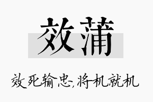 效蒲名字的寓意及含义