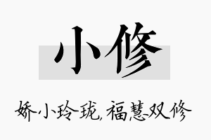 小修名字的寓意及含义