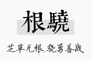 根骁名字的寓意及含义