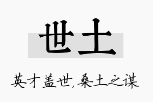 世土名字的寓意及含义