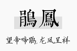 鹃凤名字的寓意及含义