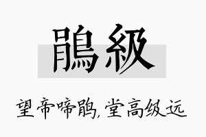 鹃级名字的寓意及含义