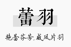 蕾羽名字的寓意及含义