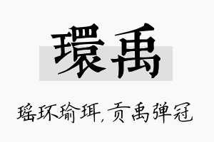 环禹名字的寓意及含义