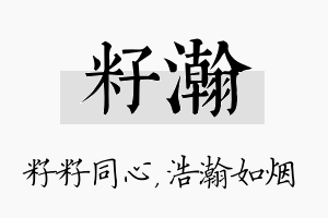 籽瀚名字的寓意及含义