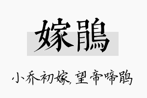 嫁鹃名字的寓意及含义