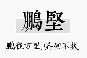 鹏坚名字的寓意及含义