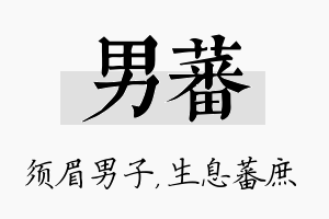 男蕃名字的寓意及含义