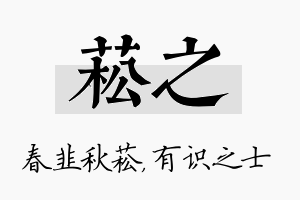 菘之名字的寓意及含义