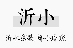 沂小名字的寓意及含义