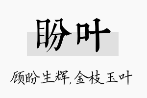 盼叶名字的寓意及含义