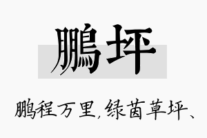 鹏坪名字的寓意及含义