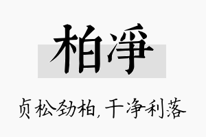 柏净名字的寓意及含义