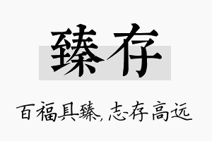 臻存名字的寓意及含义