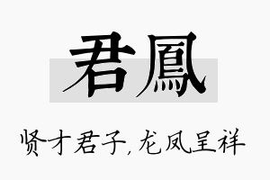 君凤名字的寓意及含义